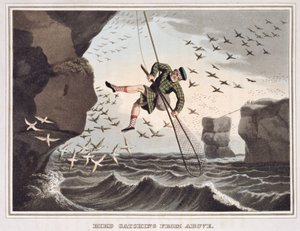 Fågelfångst ovanifrån, graverad av Matthew Dubourg (fl.1785-1820), utgiven av Edward Orme, 1813 av John Heaviside Clark
