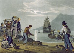 Turtle Catching on Land, graverad av Matthew Dubourg (fl.1785-1820), publicerad av Edward Orme, 1813
