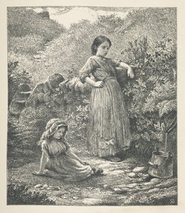 Tallrik 16. Två unga flickor.  Naturbilder. En serie av trettio originalillustrationer tecknade på trä av J. H. Dell, och graverade av R. Paterson.  John Henry Dell