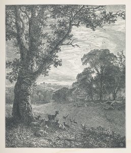 Tallrik 3. Rådjur runt ett träd.  Naturbilder. En serie av trettio originalillustrationer tecknade på trä av J. H. Dell, och graverade av R. Paterson.  John Henry Dell