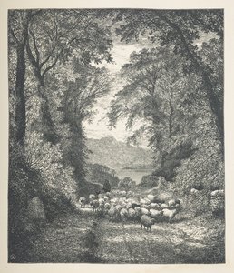 Plåt 4. Får som körs av en herde, längs en stig.  Naturbilder. En serie av trettio originalillustrationer tecknade på trä av J. H. Dell, och graverade av R. Paterson.  John Henry Dell