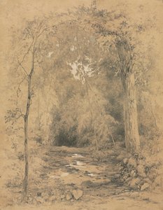 Skogsinteriör, ca. 1870.