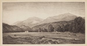 Vita bergen