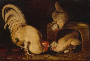 Fowls på bondgården, ca 1827 (olja på duk) av John James Audubon