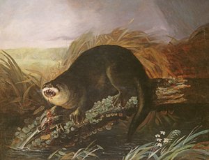 Uttern fångad i en fälla av John James Audubon