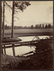 San Francisco-bergen, Arizona av John K. Hillers