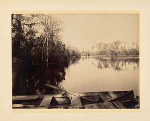Silver Springs, Florida, vy uppströms av John K. Hillers