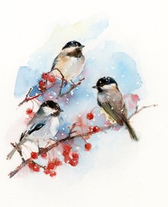 Chickadees with Berries, 2017, (akvarell)