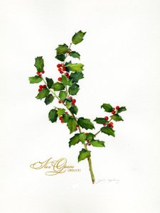 Holly botanical, 2013, (akvarell) av John Keeling