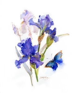 Iris med blå fjäril, 2016, (akvarell) av John Keeling