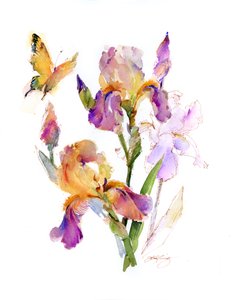 Iris med gul fjäril, 2016, (akvarell)