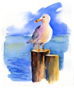 Seagull on dock, 2014, (akvarell) av John Keeling