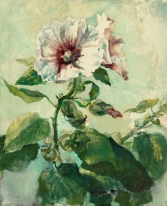 Studie av rosa stockrosor i solljus, från Nature av John La Farge