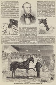 Mr J S Rarey, den amerikanske hästdomptören av John Leech