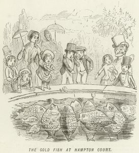 Guldfisken på Hampton Court av John Leech