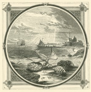 Bitaren biten (gravyr) av John Leighton