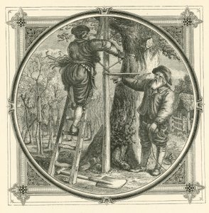 Grenarna får tränas, men inte stammen (gravyr) av John Leighton