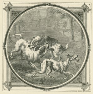 Hundarna och benet (gravyr) av John Leighton