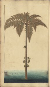 En sida från "Elegancies of Jamaica", 394