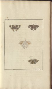 Lindsay Drawings Vol. VI, 42 av John Lindsay