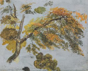 Baumstudie (Herbstlaub)