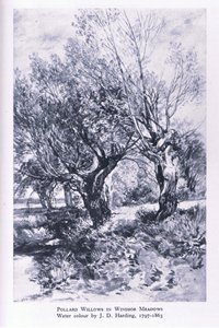 Woodcutters i utkanten av Windsor Forest, Nature in Britain utgiven av Collins av John Linnell