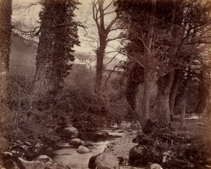 Utan titel, c. 1859. av John Lloyd
