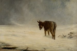 En åsna i snö