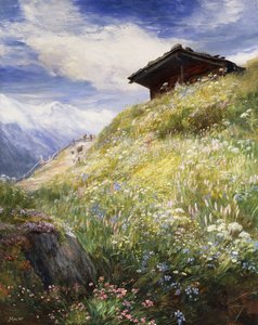 An Alpine Meadow, Schweiz,