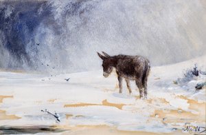 Åsna i snö