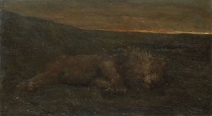 Sleeping Lion by Night av John Macallan Swan