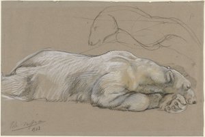 Studier av en liggande isbjörn av John Macallan Swan