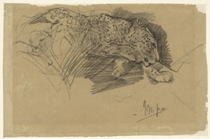 Studier av en leopard av John Macallan Swan