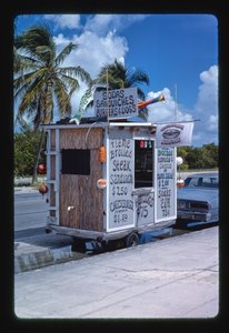 Bil med strandmat, Key West, Florida, USA av John Margolies