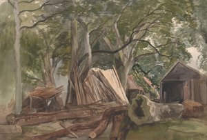 Röjning med timmerbruk, 1847.