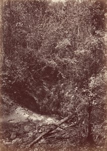 Darien-expeditionen, 1871 (foto) av John Moran