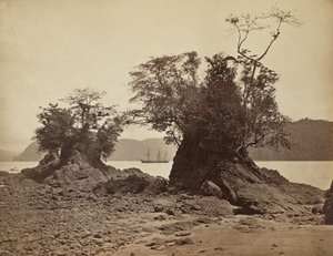Öar i Lemon Bay, 1871. av John Moran
