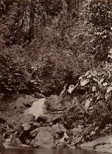 Tropiskt landskap, Cascade, Limon River, 1871.