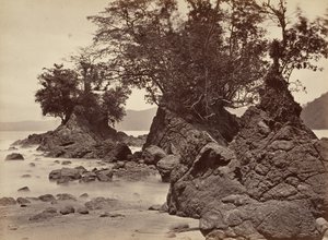 Tropiskt landskap, Limon Bay - lågvatten, 1871.