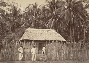 Tropiskt landskap, Native Hut, Turbo, 1871.