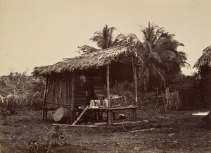 Tropiskt landskap, Native Hut, Turbo, 1871. av John Moran