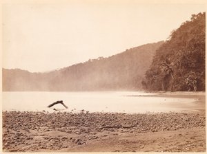 Tropiskt landskap: Slutstationen för den föreslagna kanalen, Limon Bay (Darien Expedition) av John Moran