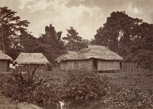 Tropiskt landskap, Turbo Village, 1871.