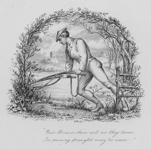 Robert Burns: To a Mouse (gravyr)