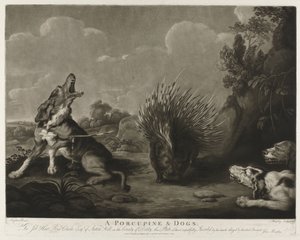 Porcupine och tre hundar A Porcupine & Dogs (titel på objekt)