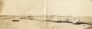 Auckland Harbour, 1865 (albuminformat)
