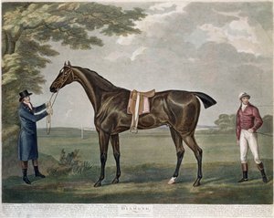 Racehorse Diamond, c.1799