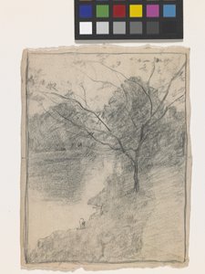 Tree Beside A Stream (penna på benvitt papper)