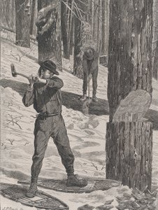 Lumbering in Winter Every Saturday, Vol. II, Ny serie, 28 januari 1871.