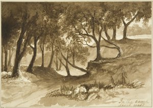Utsikt i Burwalls Camp, Leigh Woods av John Reverend Eden